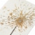 Papyrus Birthday Card (Sparkler) Perspective: top