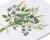Papyrus Wedding Card for Couple (White Flowers) Perspective: top