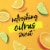 Andre® Sweet Fizzy Sangria California Sparkling Wine Perspective: top