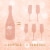 Mind & Body Bubbly Rose Low Alcohol Low Calorie Sparkling Wine Perspective: top