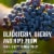 Woodbridge Merlot Red Wine Perspective: top