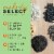 Morning Song® Melody Select™ Hot Pepper Blend Bird Food Perspective: top