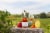 Remy Martin Tercet Cognac Perspective: top