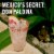 Don Julio Tequila Blanco Perspective: top