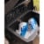 Shiner Light Blonde Lager Craft Beer Perspective: top