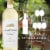 Chateau Ste Michelle Horse Heaven Hills Sauvignon Blanc Washington White Wine Perspective: top