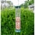 Lyric 20 Lb. Woodpecker No Waste Wild Bird Mix 2647406 Perspective: top
