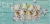 Malibu Splash Hangout Mix Variety Pack Perspective: top