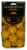 Pinemeadow SuperFly Foam Practice Balls Perspective: top