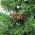 Northlight 3' Medium Dakota Pine Artificial Christmas Tree, Unlit Perspective: top