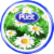 Puck Creamy Cheese Spread Perspective: top