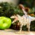 Giganotosaurus Toy Perspective: top
