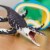 Kronosaurus Toy Perspective: top