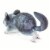 Chinchilla Perspective: top