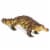 Sarcosuchus Toy Perspective: top