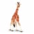Reticulated Giraffe Toy Perspective: top