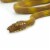 Amazon Tree Boa Perspective: top