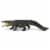 Saltwater Crocodile Perspective: top