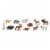 North American Wildlife TOOB Perspective: top