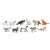 Domestic Cats TOOB Perspective: top