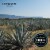 Lunazul Tequila Reposado Perspective: top