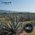 Lunazul Tequila Reposado Perspective: top