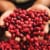 Green Mountain Coffee Roasters® Nantucket Blend® Medium Roast Ground Coffee Perspective: top