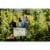 The Four Graces Pinot Noir Oregon Red Wine Perspective: top