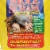 Mole Scram 10 Lb. Granular Organic Mole Repellent 12010 Perspective: top