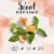 Herbal Essences Bio:Renew White Grapefruit & Mint Volumizing Conditioner Perspective: top