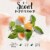 Herbal Essences bio:renew White Grapefruit & Mint Volumizing Conditioner Perspective: top