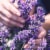 Herbal Essences Classics Curls Shampoo with Jojoba Oil and Lavender Perspective: top