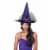 Seasons Purple and Black Witch Hat Adult Halloween Costume Accessory Perspective: top