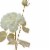 Northlight 26.5'' White and Gold Artificial Rose Flower with Long Stem Perspective: top
