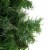 Northlight Canadian Pine Mini Artificial Christmas Wreath, 12-Inch, Unlit Perspective: top