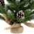 Northlight 24  Frosted Norway Pine with Pine Cones Medium Artificial Christmas Tree - Unlit Perspective: top