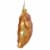 Northlight 5  Golden Glittered Pierogi Glass Christmas Ornament Perspective: top