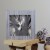 Northlight 12 Glittered Woodland Deer Silhouette Box Framed Christmas Table Decoration Perspective: top