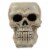 Northlight 11 Ivory and Black Halloween Skull Tabletop Decoration Perspective: top