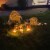 Northlight 8.5 Lighted Orange Skull and Hands Outdoor Halloween Decoration - 4ft Black Wire Perspective: top