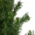 Northlight 9' x 14  Black River Pine with Pine Cones Artificial Christmas Garland, Unlit Perspective: top