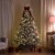 Northlight Real Touch™ Elite Pre-Lit Flocked Yukon Pine IPT Artificial Christmas Tree - 9' Perspective: top