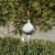 Outdoor Torch Lamp 45 Inch Patio/Backyard Stainless Steel Fuel Canister Flame Light for Perspective: top