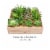 Faux Succulents  Assorted Lifelike Plastic Greenery Arrangement with 10 Inch Decorative Perspective: top