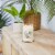 Yankee Candle® Coconut Beach Jar Candle Perspective: top