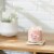 Yankee Candle® Pink Sands Signature Medium Jar Candle Perspective: top