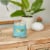 Yankee Candle® Signature Collection Candle Bahama Breeze™ Perspective: top