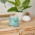 Yankee Candle® Signature Collection Candle Bahama Breeze™ Perspective: top