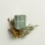 Chesapeake Bay® Candle Be Grounded (Tree Moss Juniper) Jar Candle Perspective: top
