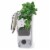 Progressive International Plastic ProKeeper Herb Keeper, 1 Piece, White (2 Pack) Perspective: top